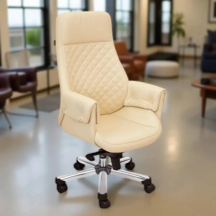 Director Chairs design 5